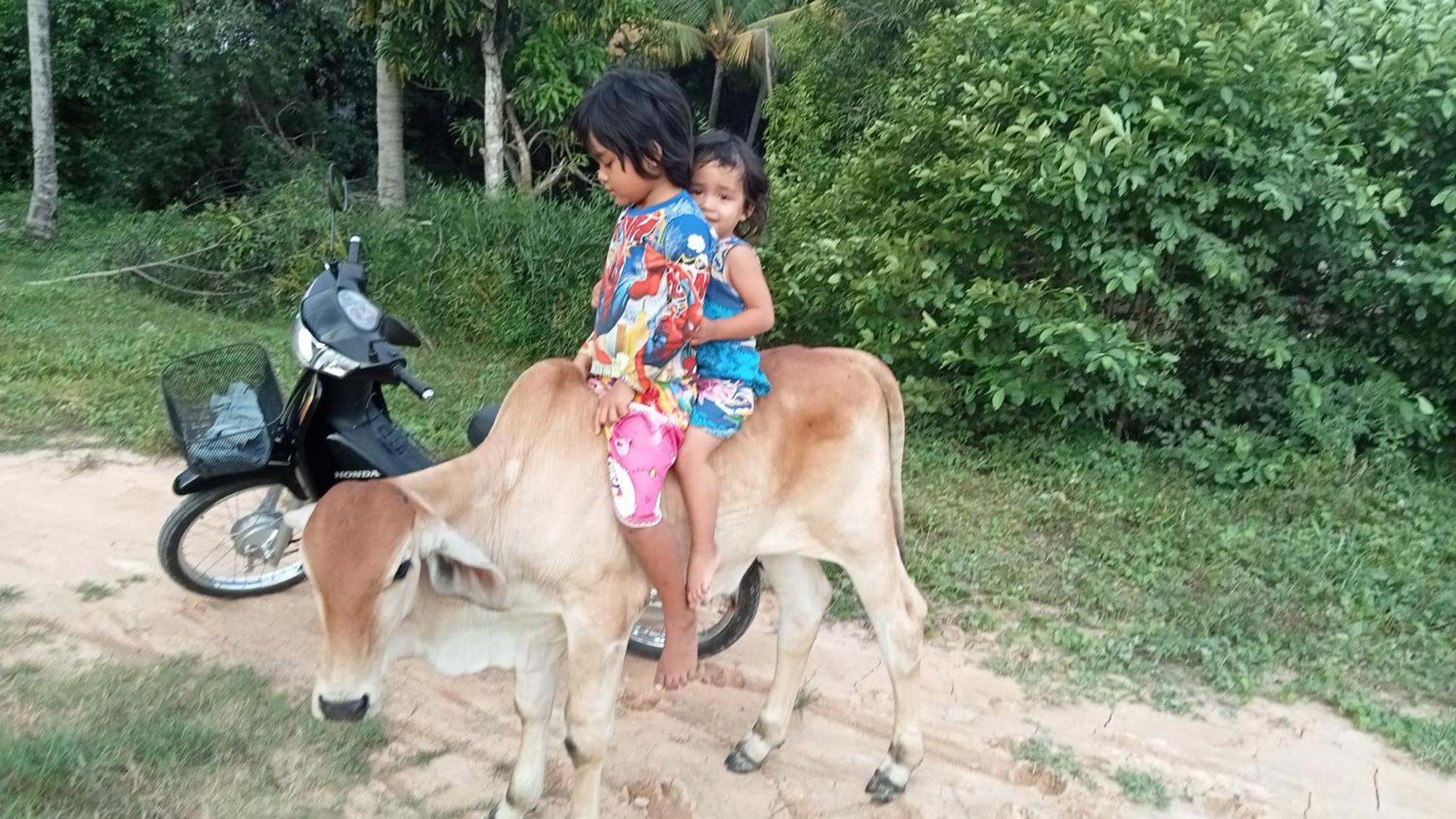 Kakrona Pouk Homestay Siem Reap Ngoại thất bức ảnh